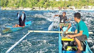 Surrounded Left and Right, Front and Back, Thousands of Tuna Fish Play Next to the Boat