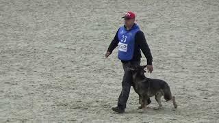 2022 IGP CACT Russia 25 Chistyakov Sergey and Zorkinhof Zhitan (GSD) B86