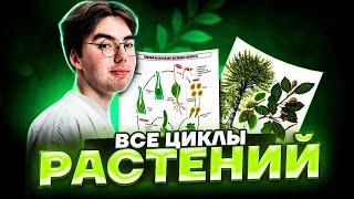 Жизненный цикл цветковых растений за 20 минут | Биология ОГЭ 2023 | Умскул