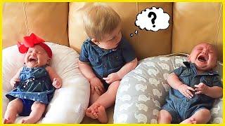 BEST Collection Cute Baby Of February 2023 || 5-Minute Fails