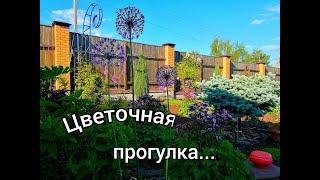 Обзор цветников/ Как живут цветы в деревне?!!/#деревня #flowers #цветы #веснавдеревне #весна #обзор