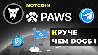 PAWS - новый проект для заработка от Notcoin! Крипта без вложений! До 100 $ за аккаунт!