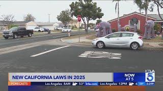 New laws going into effect in California in 2025