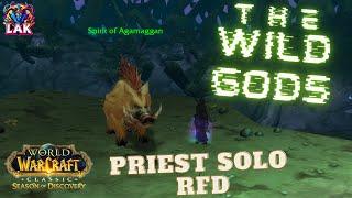 THE WILD GODS \ PRIEST SOLO RFD [ World of Warcraft ]