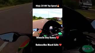 Ninja Zx10r Top speed  Wheelie Boy Bunny ️ #viral #ytshorts #tranding #viralvideo #shorts #zx10r