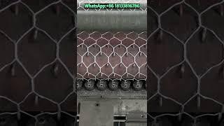 Gabion mesh machine#shorts