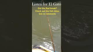 Fly Fishing for Machaca in Costa Rica!! Check out the full video. Link in comments!