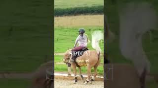 Pov: People be like: I am flopping sm! GIRL, YOU HAVE 500 LIKES #harlow #equestrian #edit
