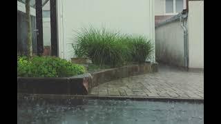 Relaxing Suburban Rain Sounds (10 Hours Sleep Video)