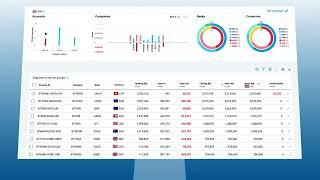 Bottomline's Cash Position Tools