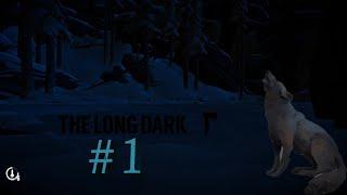 ВОЛКИ В НОЧИ И РЖД / Выживание в The Long Dark #1