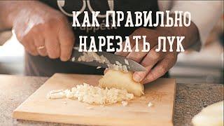 Как правильно нарезать лук | How to chop an onion [Рецепты Bon Appetit]