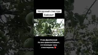 уйгурские стих про Байсеит