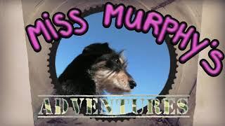 Miss Murphy's Adventures in Theresienstadt