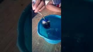 Homemade Water prop sumbreen moter #short video 