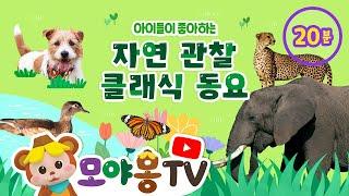 아이들이 좋아하는 자연 관찰 동요｜클래식 동요｜연속재생｜ 모야몽TV｜리틀천재