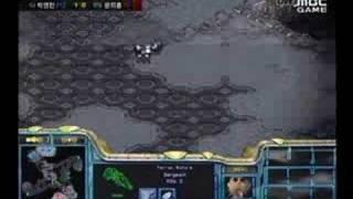 Much vs Nsp_Darling On Zodiac