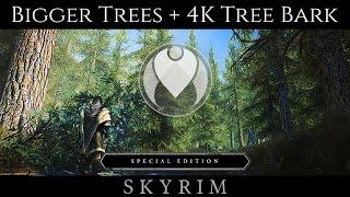 SIMPLY BIGGER TREES + HQ BARK 4K | Skyrim SE Ultra High ENB - Photoreal Graphics | Nvidia GTX 1080