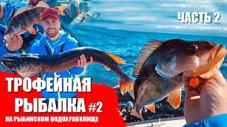 #2 РЫБАЛКА И ТРОФЕИ РЫБИНСКОГО ВОДОХРАНИЛИЩА! Часть 2. Как связать плетенку с леской?  Zastava Film.