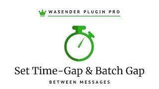 How to Set Batch Gap & Time Gap Between Messages While Using WASender