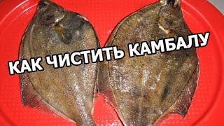 Как чистить камбалу. Способ от Ивана!