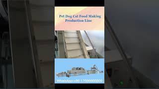 Complete processing line pet food production line fish dog cat feed making machine