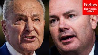 'Beneath The Dignity Of His Office': Schumer Demands Mike Lee Delete X Posts About Minnesota Suspect