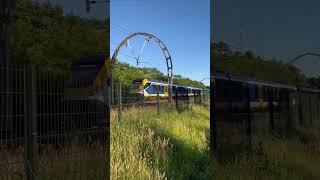 NS train running in the Railway in Netherlands Europe #shorts