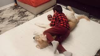 January 2nd, 2021. Andrey is playing with Doggie Rubi