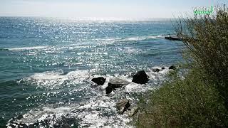 Шум Моря - Одесса - Звуки природы