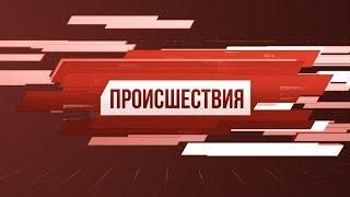 Рубрика «Происшествия». Выпуск 07 ноября 2019 года