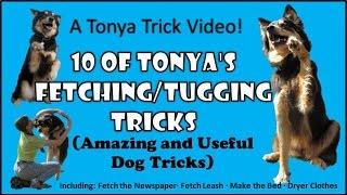 10 of Tonya's Fetching/Tugging Tricks--- A Tonya Trick Video! (Amazing and Useful Dog Tricks)