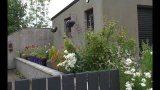 June 12 2025 Belfast Castlereagh Hills Garden Walk Round Update New Grand Child Hip Replacement News