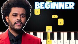 Hurry Up Tomorrow - The Weeknd | Beginner Piano Tutorial | Easy Piano