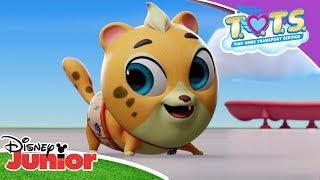 'Who Am I?' Game  | T.O.T.S.  | Disney Kids