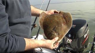 Fishing for Flatfish - Rigs, Tips & Tactics - CATCH MORE FISH!