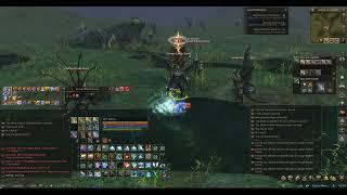 Lineage II Official Naia server: Sayha's Seer 117 lvl vs Stakato Drones 126 lvl Area