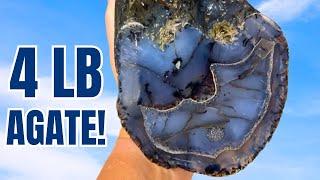 4 LB BLUE AGATE Discovered in Last Rock Hunt of 2024