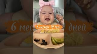 Топ-аллерген – яйцо  Первая проба #blw #самоприкорм #6months #6месяцев #прикорм #первыйприкорм