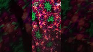 IMAGINARIUM 360: USA Fantasy Light Wonderland with Food, Fun, and Magic!  | Part 5  |