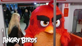 Angry Birds - Red takes the Länsimetro to work