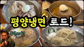 도대체 무슨 맛인지 몰라서 다녀봤습니다! | pyung yang naeng myun food trip!