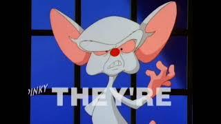 Pinky and the Brain - Intro (French)