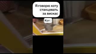 Meme | танец кота | 2/2/8 | #танцующиекоты