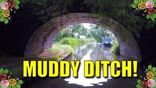 A Narrowboat journey on the Ashby Canal - Stoke Golding to Dadlington.