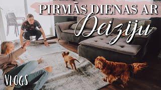 PIRMĀ NEDĒĻAS NOGALE AR DEIZIJU  | VLOGS