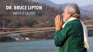 Dr. Bruce Lipton: Water is Sacred