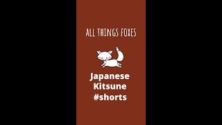 Japanese Kitsune Fox | #Shorts