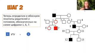 Генеалогический метод