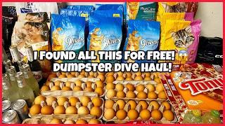 Dumpster diving 2025 Eggs, Cat foods, pizza and Beer